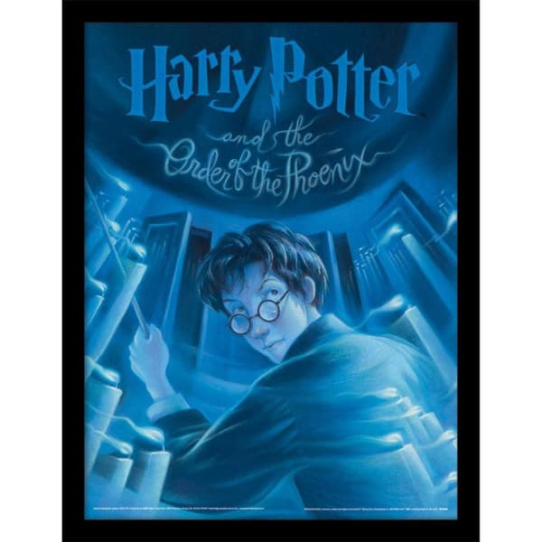 Harry Potter The Order Of The Phoenix Framed Poster Blue 40cm x 30cm