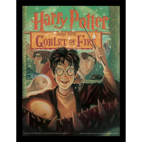 Harry Potter The Goblet Of Fire Framed Poster Multicoloured 40cm x 30cm