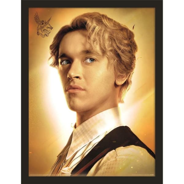 The Hunger Games: The Ballad of Songbirds & Snakes Indrammet plakat Multicoloured 40cm x 30cm