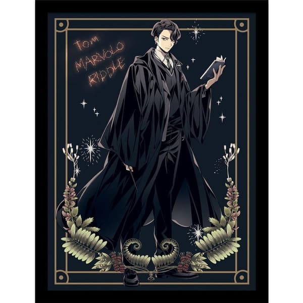 Harry Potter: Wizard Dynasty Tom Marvolo Riddle Framed Poster