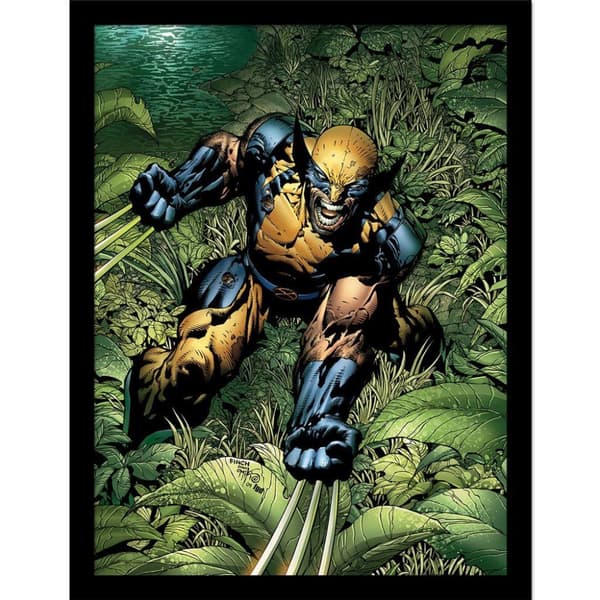 Wolverine Savage Framed Poster Green/Yellow/Black 40cm x 30cm