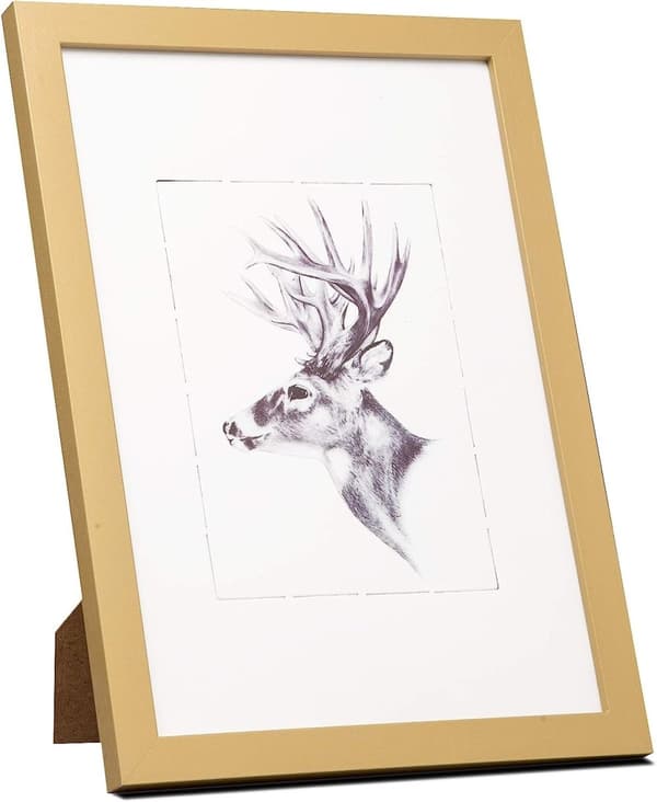 Rootz Premium tavelramar - Fotoramar - Displayramar - Slitstark MDF av E1-kvalitet - Mångsidig vägg- och hyllmontering - Skyddsplexiglas - Flera storl