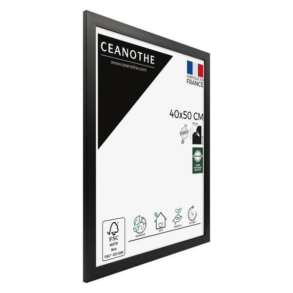 Ram 40x50 cm CEANOTHE - Svart ETERNAL
