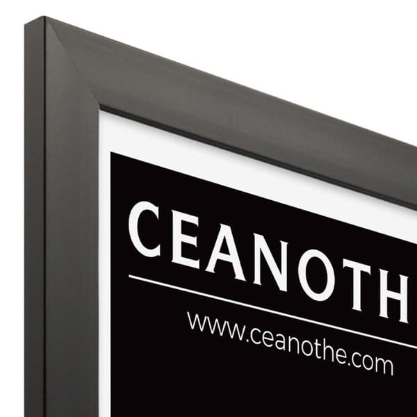 Ram 40x50 cm CEANOTHE - Svart ETERNAL