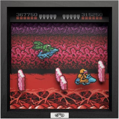 Pixel Frames Battletoads Turbo Tunnel