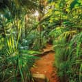 Miniatyrbild 1 av 2: Komar Jungle Trail Fotovägg 368 x 254 cm