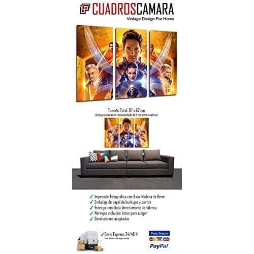 Cuadros Cámara fotoram 27128 Flerfärgad, storlek XXL 27128