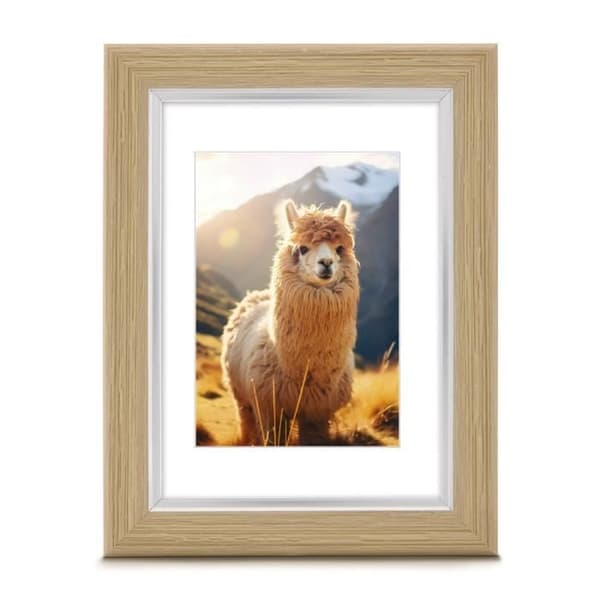 Ram för foto - Lima - 15 x 20 cm - Plast - Brun - Modern design