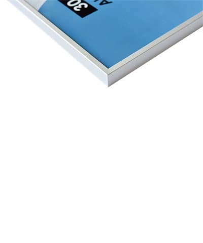 Nielsen Photo Frame 53424 Accent Frosted Silver 18x24 cm