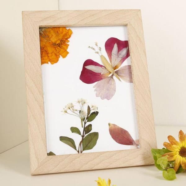 Ramar i trä för herbarium 13 x 17 cm