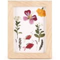 Miniatyrbild 2 av 4: Ramar i trä för herbarium 13 x 17 cm