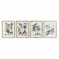 Miniatyrbild 1 av 3: Tavla DKD Home Decor 50 x 2,5 x 65 cm Shabby Chic Botaniska växter (4 Delar)