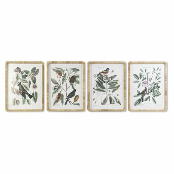 Tavla DKD Home Decor 50 x 2,5 x 65 cm Shabby Chic Botaniska växter (4 Delar)