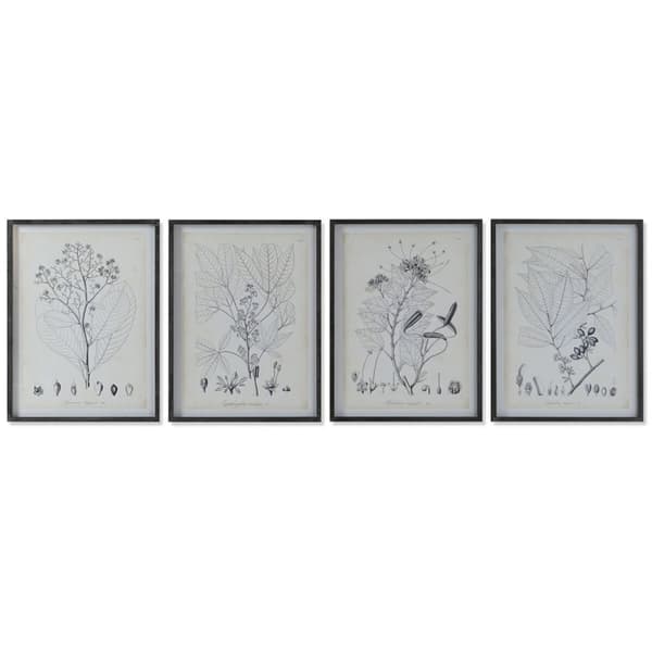 Tavla DKD Home Decor Modern Botaniska växter 45 x 2,5 x 60 cm (4 antal)