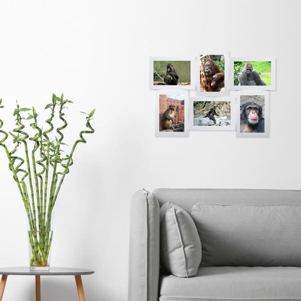 Relaxdays Fotoram pêle-mêle 6 foton Galleri väggram 3D att hänga 33 x 47,5 cm, vit