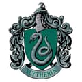 Miniatyrbild 2 av 4: Kartongvapen - Harry Potter - Slytherin - 61x51 cm - Väggdekoration - Blandat