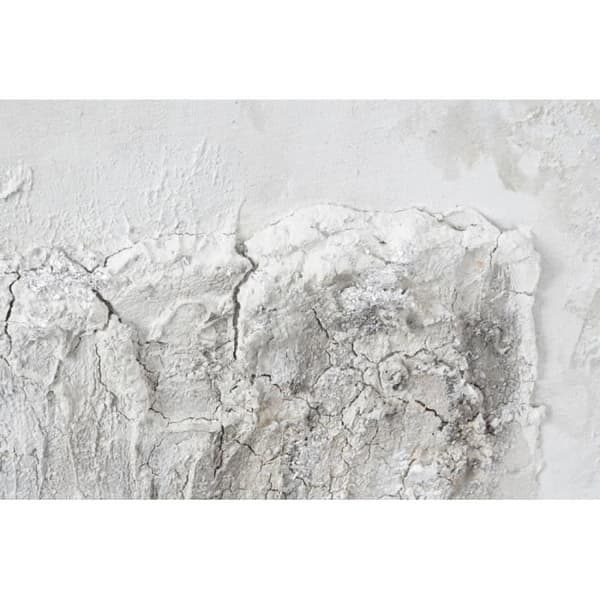 Ram DKD Home Decor Canvas Träd (2 st) (100 x 3,8 x 100 cm)