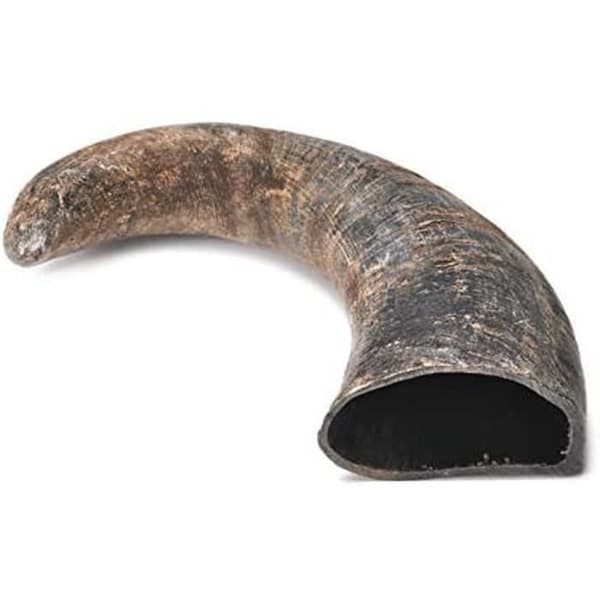 Record Buffalo Horn För Hundar, Storlek L - 22cm Ca.