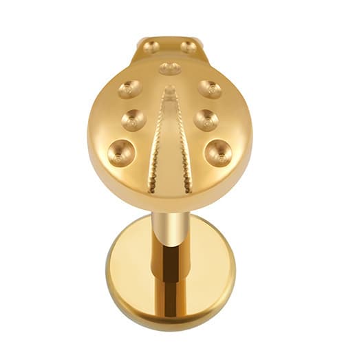 Titaaninen labret leppäkerttu korvakoru - kulta 1.2/8