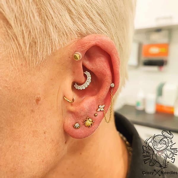 Titanium labret örhänge skalbagge guld piercing helix conch lobe 1.2/6