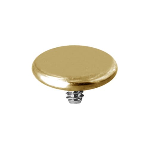 Titanmutter - skiva - guld - TNA-003 1,6/5
