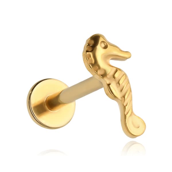 Titaaninen merihevonen labret-korvakoru - kulta - TGW-169 1.2/6