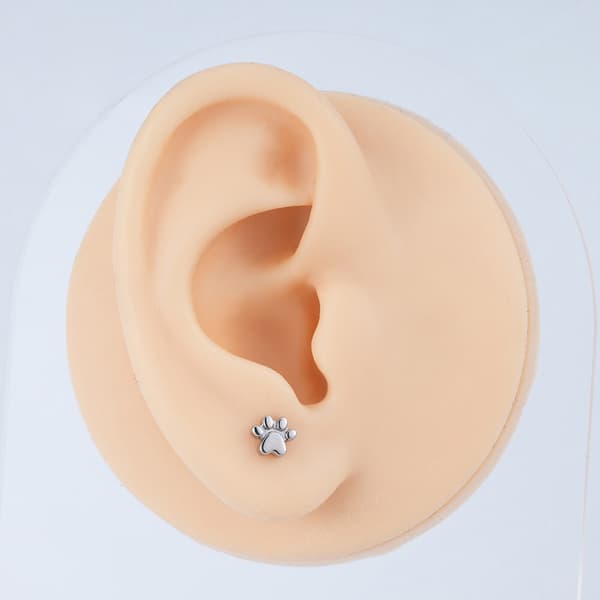 Titanium labret ørering, sølvpote, helix konkylie, 1,2/6