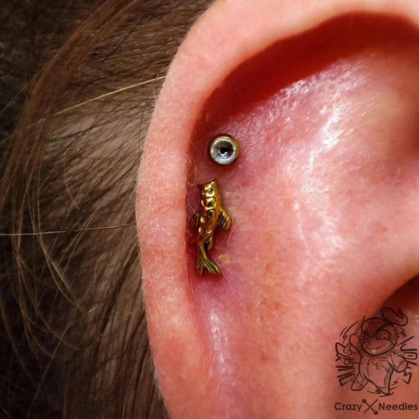 Titanium Koi kala labret korvakoru - kulta 1.2/8