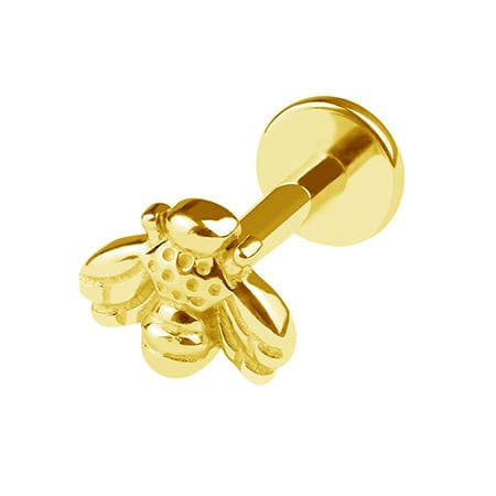 Titanium labret guldbi - TGW-103 1.2/8
