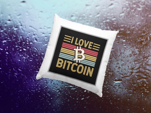 I Love Bitcoin Kuddfodral 40x40cm