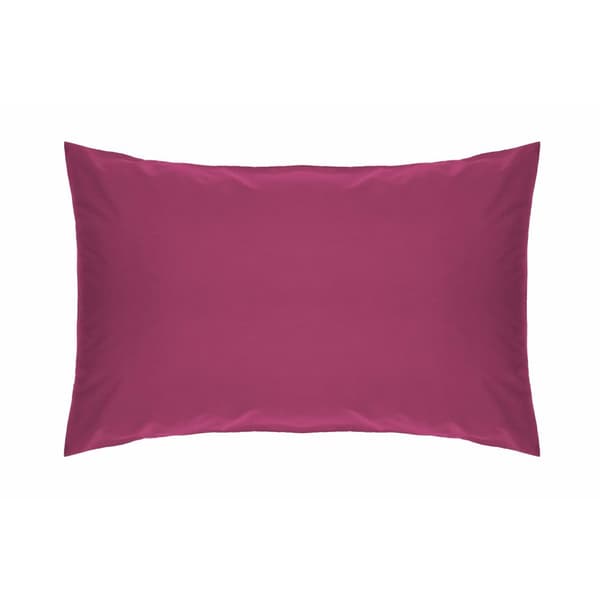 Belledorm Easycare Percale Housewife Kuddfodral av Percale