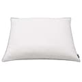 Miniatyrbillede 3 af 3: vidaXL puder 2 stk. dun-/fjerfyld tung 70x60 cm hvid