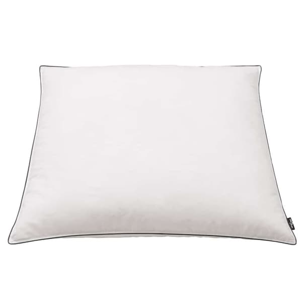 vidaXL Kuddar 2 st dun-/fjäderstoppning tung 80x80 cm vit