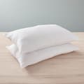 Miniatyrbild 2 av 5: Set med 2 kuddar "Douceur" Mikrofiberserie 45 x 70 cm med Soft &amp; Care Anti-mite behandling