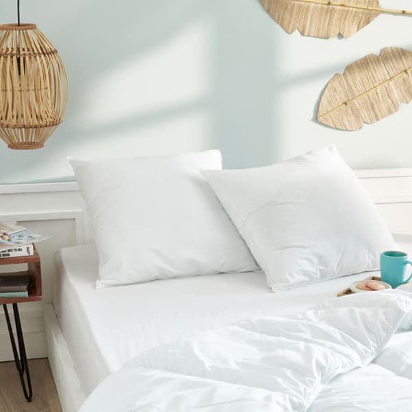 Set med 2 kuddar 60 x 60 cm Blanrêve Microfiber Range "Softness" behandlad Anti-Mite Soft &amp; vård