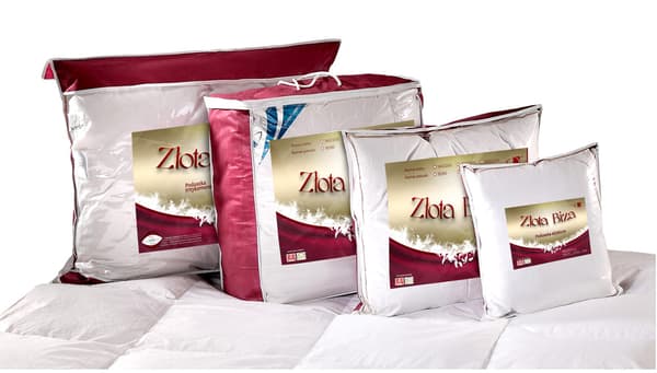 Dunpude 50x60 Złota Biza 600g hvid naturlig indsats 100% bomuld Indløb AMW