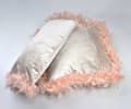 Pikkukuva 2 / 2: LORETA BEIGE Tyyny 50x30cm höyhenet
