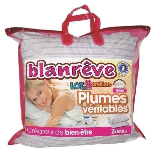 BLANREVE Set med 2 fjäderkuddar - 60x60 cm