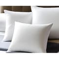 Miniatyrbild 2 av 4: Kudde - Linne Promo - 50x70cm/60x60cm/65x65cm - 100% polyester - Mjuk - Oeko-Tex