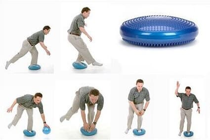 DISC SENSORMOTOR REHABILITERINGSKYDDE HEDGEHOG