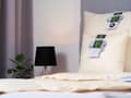 Miniatyrbillede 4 af 5: Dunpude 70x80 DREAM creme