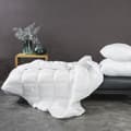 Miniatyrbillede 2 af 2: Anti-allergisk pude BASIC 50x70 D91 hvid