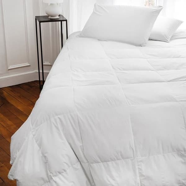 TOISON D'OR - Kudde - Plumdor - Medium komfort - 65x65cm - Vit