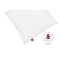 Miniatyrbild 2 av 2: ABEIL Set med 2 Ultima Comfort-kuddar - 60 x 60 cm