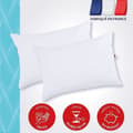Miniatyrbild 1 av 6: DODO Set med 2 trendiga kuddar 50x70 cm - 100% polyester