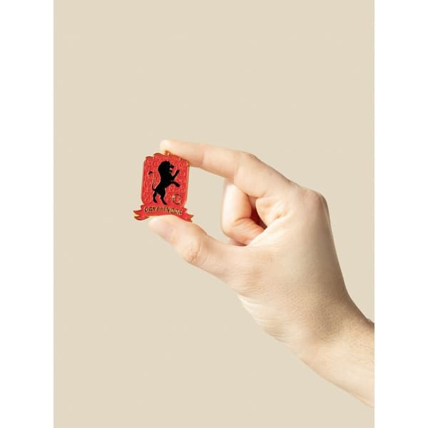 Harry Potter Hogwarts 4 pin set