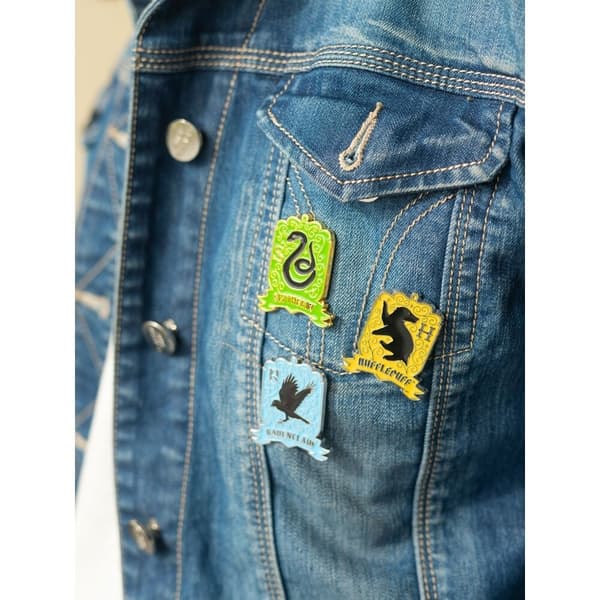 Harry Potter Hogwarts 4 pin set