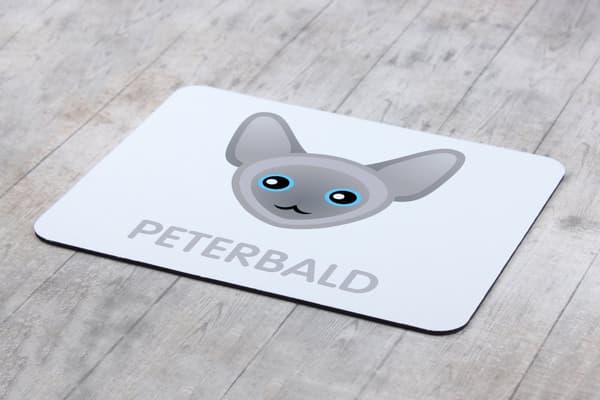Peterbald - musemåtte fra Art-Dog