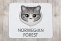 Miniatyrbild 4 av 5: Norsk skogmusmatta från Art-Dog