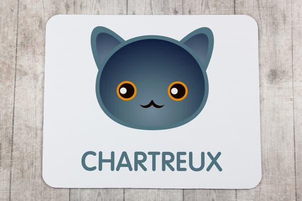 Chartreux - musen vadderar av Art-Dog